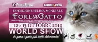 Forlì in Cat Forli 2026
