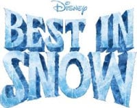The Best Show in Snow Grand Rapids 2026